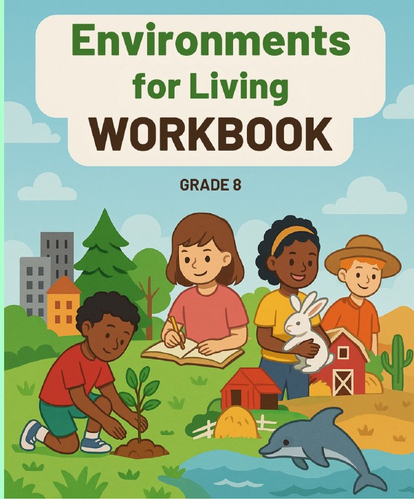 Curriculum Development